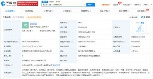昆侖芯更名啟新程，注冊資本增約16%深化軟件服務(wù)布局